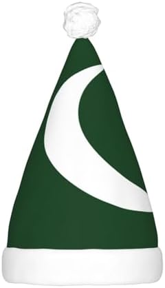 Flag Of Pakistan Christmas Hat With LED Lights