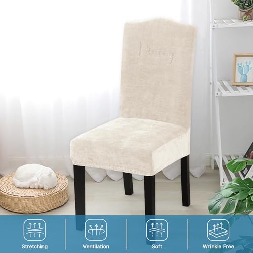 Turquoize Dining Chair Covers Set of 4 Beige Embroidery