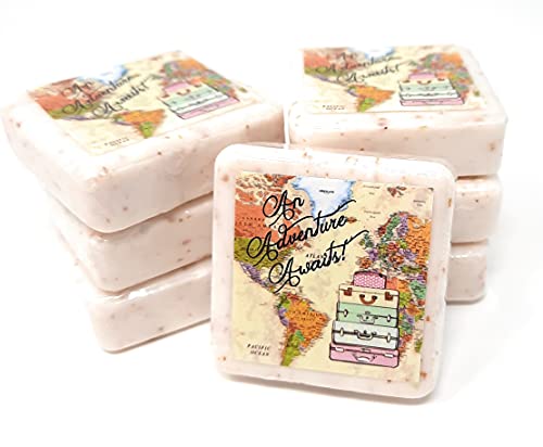 12 Adventure Awaits Soap Favors 15oz Travel Themed