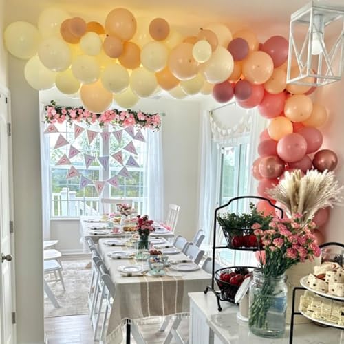 Retro Blush Pink Balloons 60 Pack 12 Inches