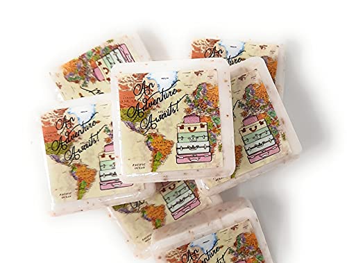 12 Adventure Awaits Soap Favors 15oz Travel Themed
